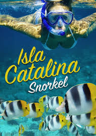 Excursión a Isla Catalina con snorkel desde Punta Cana